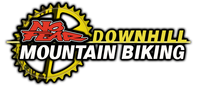No Fear Downhill Mountain Biking logo for GameBoy Color